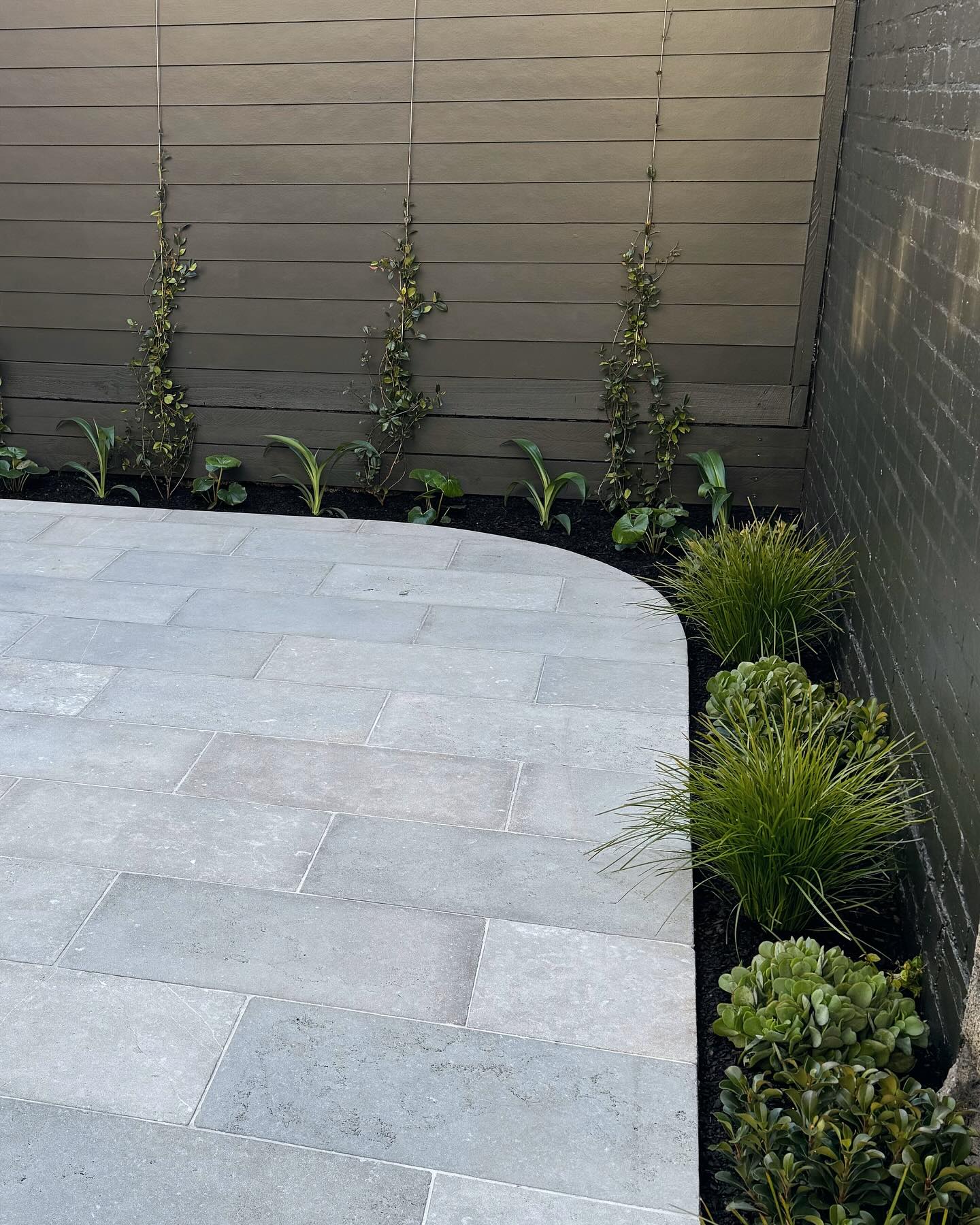 Timber screen and garden edge by Bentley Landscapes