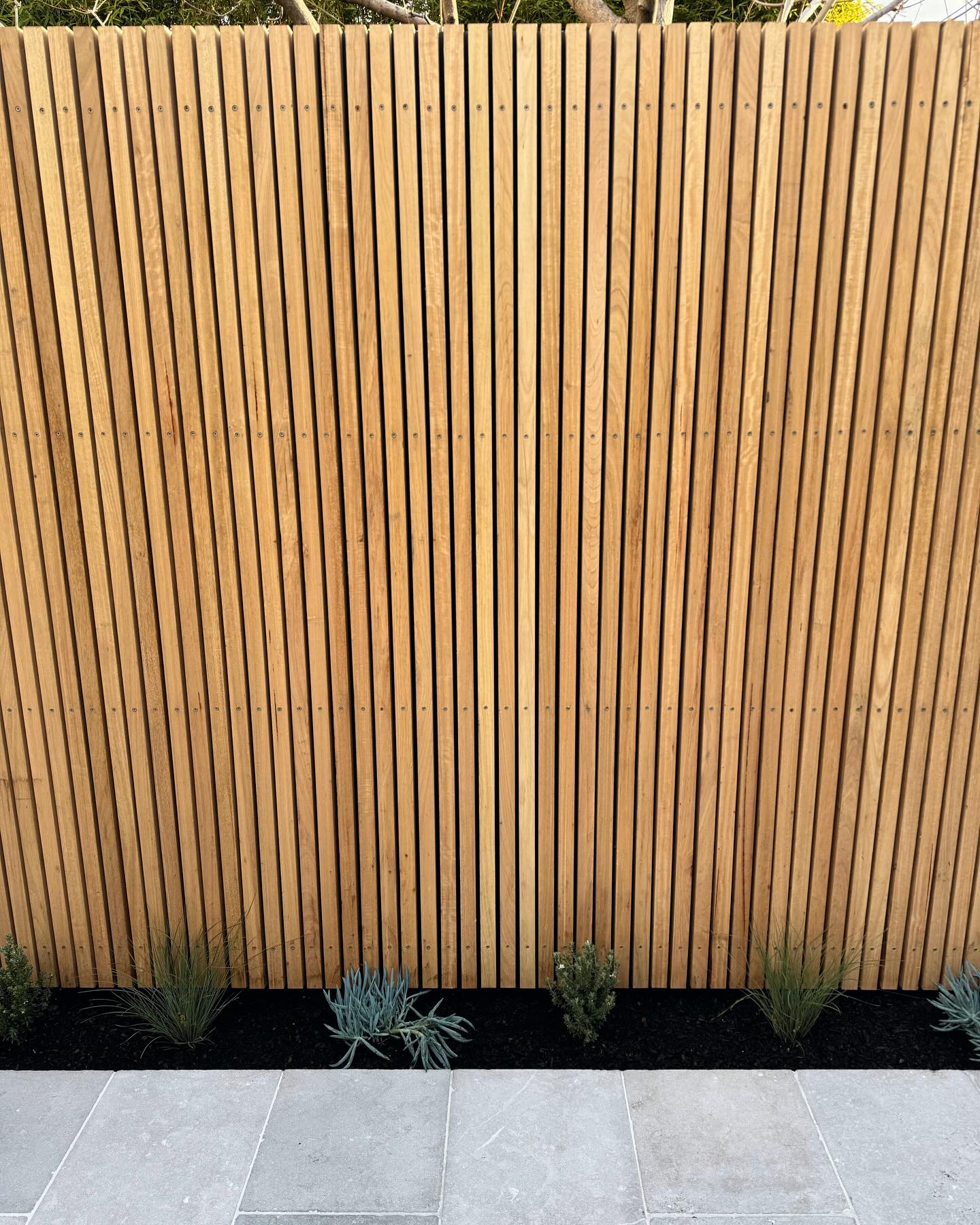 Courtyard paving and planting by Bentley Landscapes
